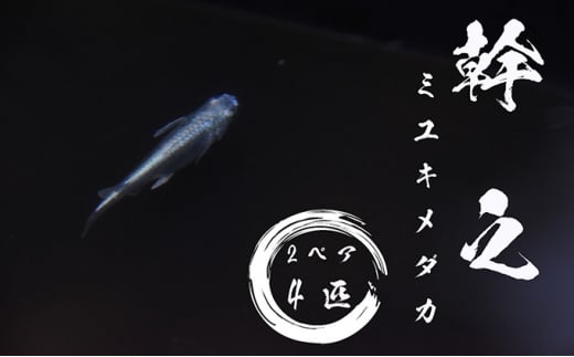 y錧푍sz߂̊wZIIVi~L_Jj2yA4C  ӏ