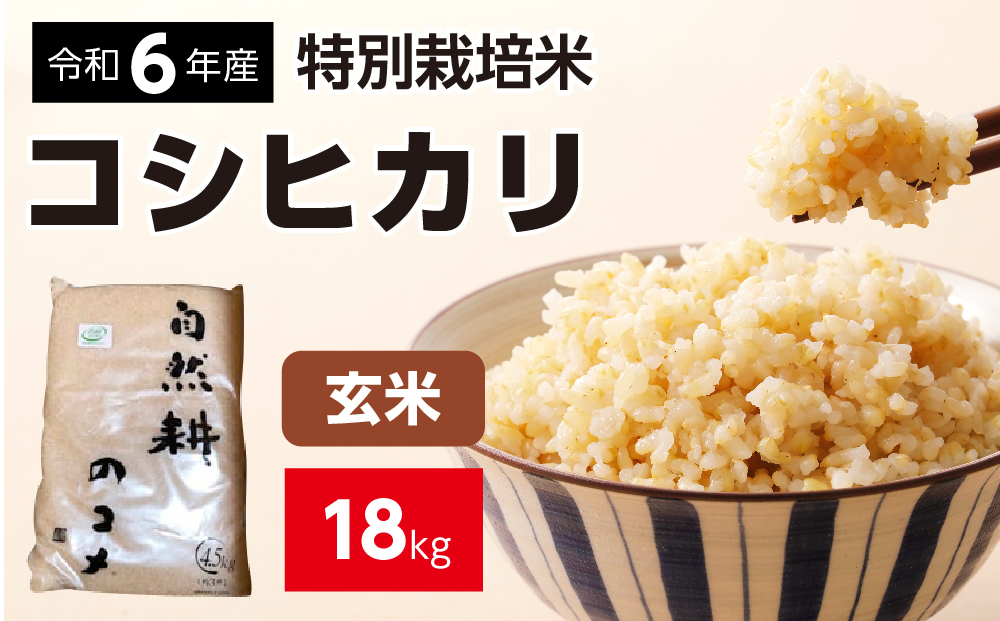 令和六年産特別栽培米コシヒカリ18.0kg（4.5kg×4袋）玄米 