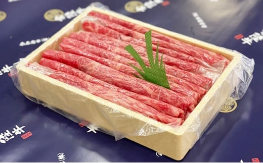 �y��錧�푍�s�z�헤�� �Ԑg�X���C�X380g