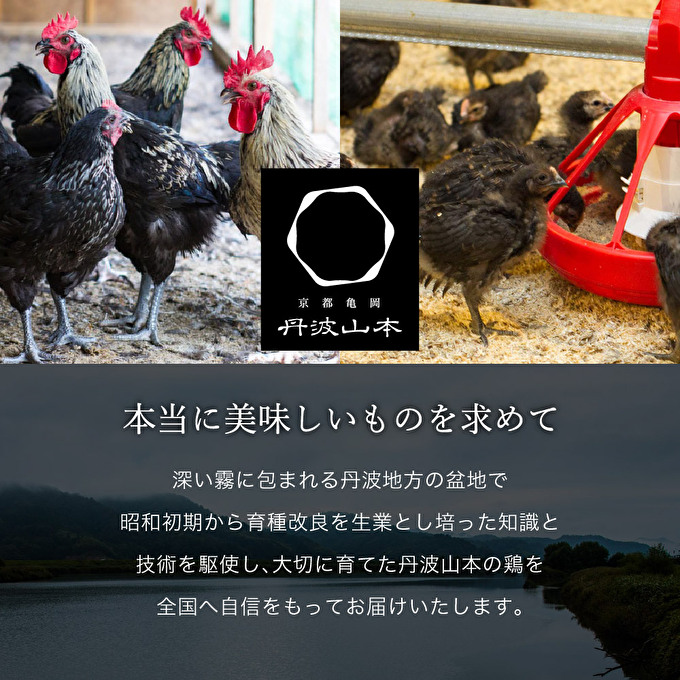 兵庫県加西市のふるさと納税  地鶏 丹波 黒どり 1羽セット 冷凍 焼き鳥 鍋 焼肉 BBQ 鶏肉