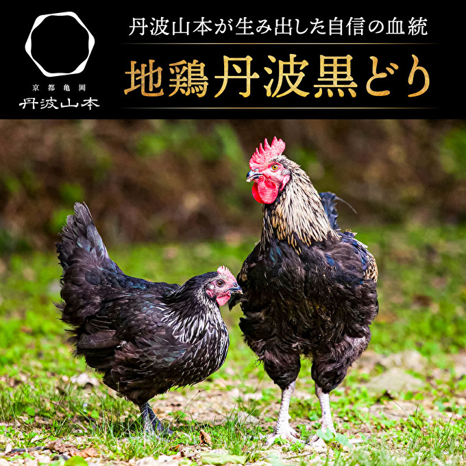 兵庫県加西市のふるさと納税  地鶏 丹波 黒どり 1羽セット 冷凍 焼き鳥 鍋 焼肉 BBQ 鶏肉