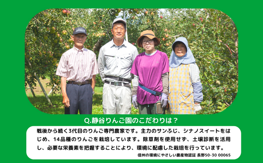 長野県飯綱町のふるさと納税 干しりんご ( 完熟 サンふじ ) 30g × 3袋 沖縄県への配送不可 ネコポスでお届け 静谷りんご園 減農薬栽培 ドライフルーツ 信州の環境にやさしい農産物認証 長野県 飯綱町 [1524]