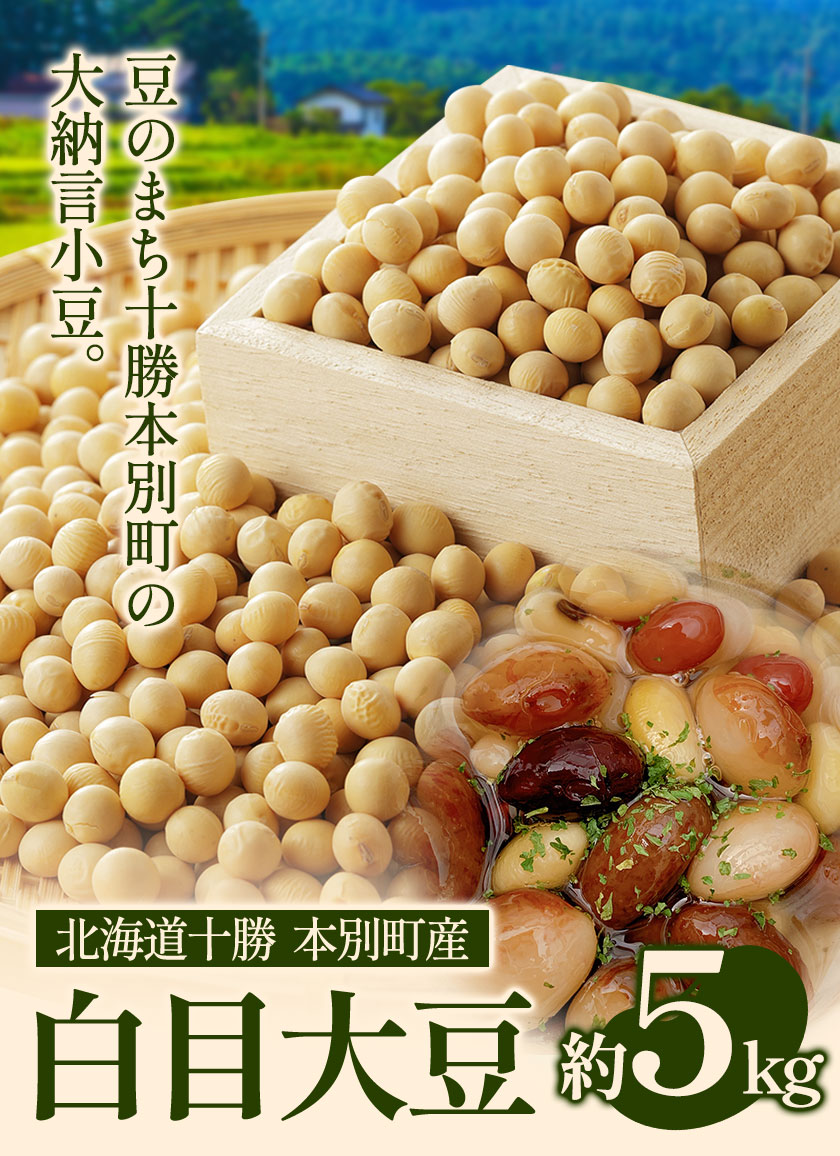 北海道本別町のふるさと納税 令和6年度産 北海道十勝 本別町産 白目大豆5kg 《60日以内に順次出荷(土日祝除く)》本別町農業協同組合 送料無料 北海道 本別町