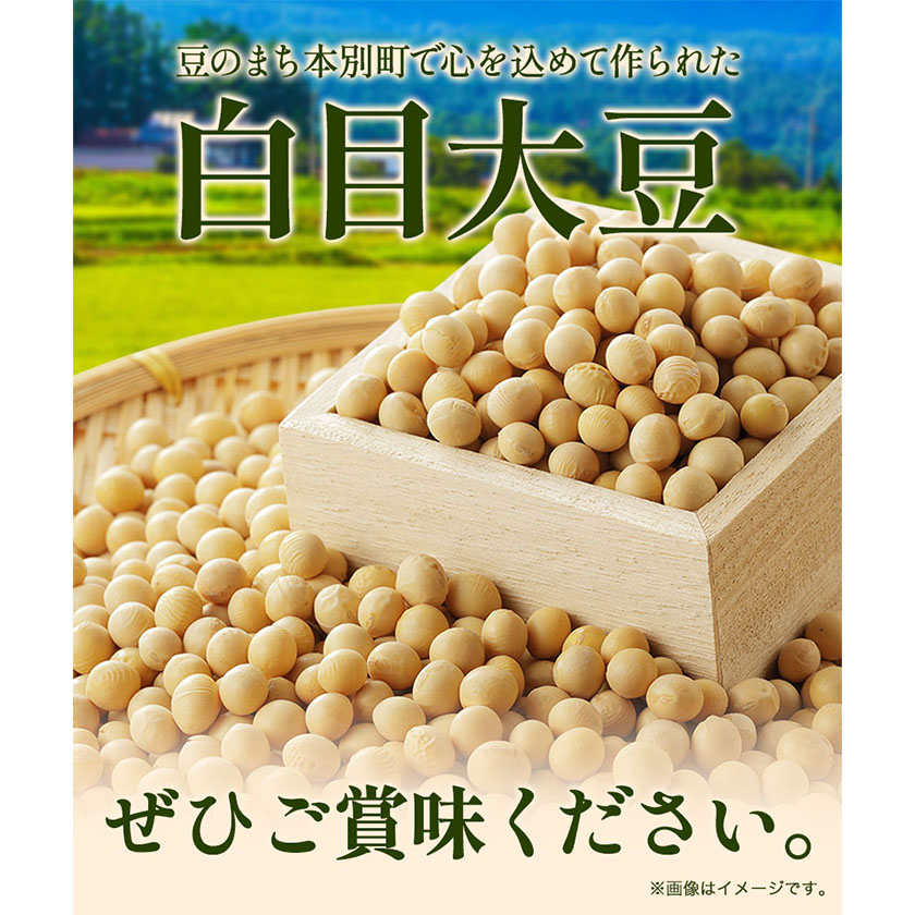 北海道本別町のふるさと納税 令和6年度産 北海道十勝 本別町産 白目大豆5kg 《60日以内に順次出荷(土日祝除く)》本別町農業協同組合 送料無料 北海道 本別町