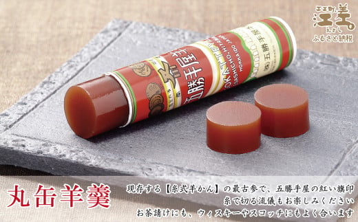 北海道江差町のふるさと納税 五勝手屋本舗『ミニ丸缶羊羹（ようかん）』10本セット　金時豆のようかん　保存料不使用　五勝手屋羊羹の老舗　和菓子　銘菓　名物　贈答用　ギフト