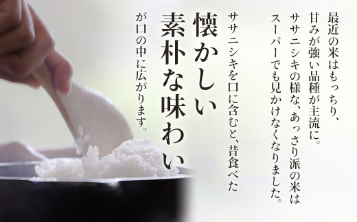 ササニシキ玄米10kg(5kg×2袋) 特別栽培米 宮城県白石市産【06106
