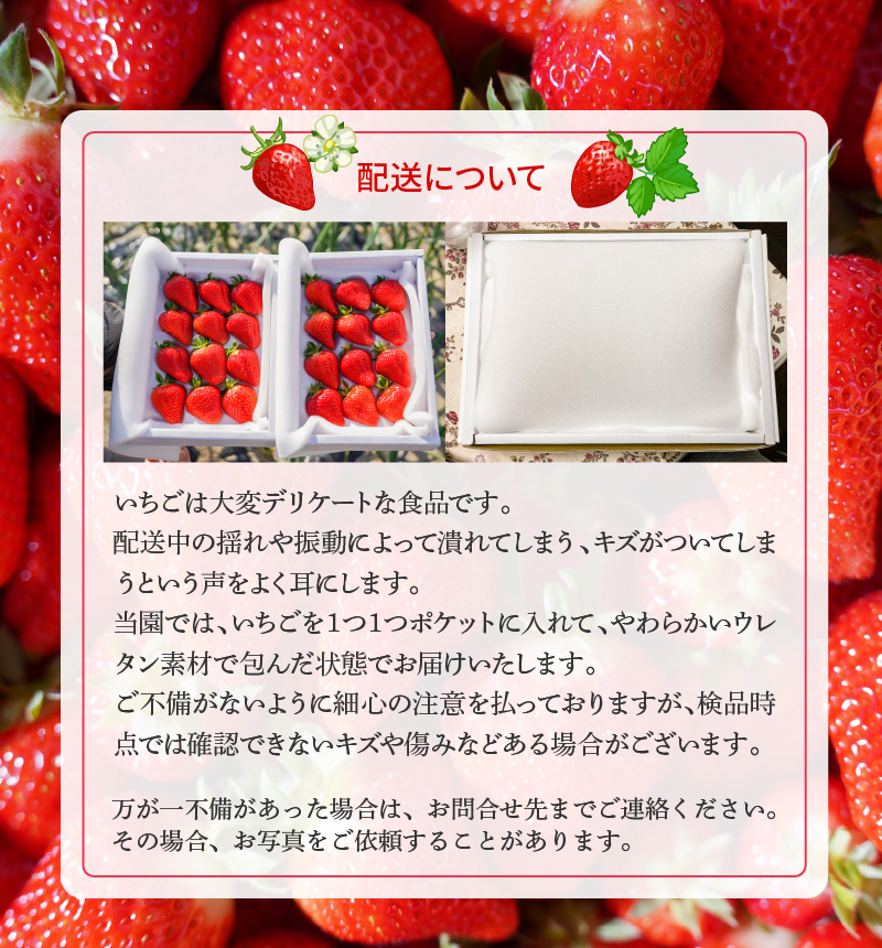 愛知県碧南市のふるさと納税 【12月以降順次発送】まるで赤いサファイア!!丹精込めた完熟いちご!! 約1350g　H130-011