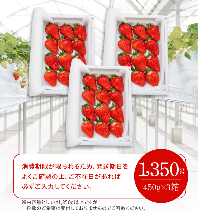 愛知県碧南市のふるさと納税 【12月以降順次発送】まるで赤いサファイア!!丹精込めた完熟いちご!! 約1350g　H130-011