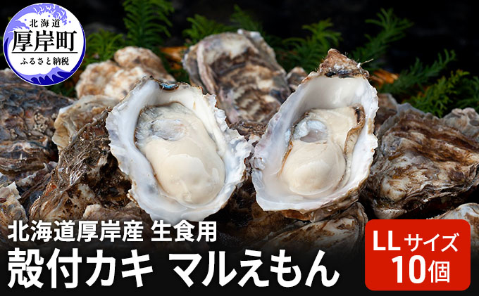厚岸産　牡蠣（北海道厚岸町）　ふるさと納税サイト「ふるさとプレミアム」　10個　北海道　LLサイズ　殻付カキ　生食用　マルえもん