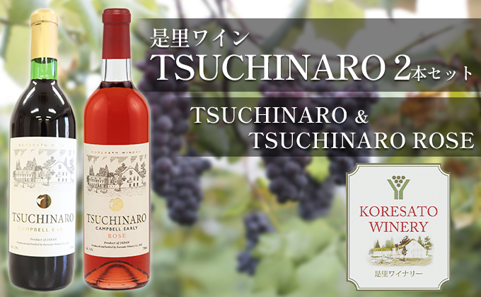 【岡山県赤磐市】是里 ワイン TSUCHINARO 2本 セット 岡山 赤磐市 赤ワイン お酒 ロゼワイン ワインセット 飲み比べ 芳醇な香り フルーティー 渋みが少ない 後口すっきり 贈り物