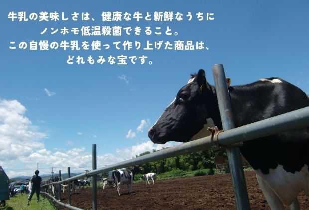 埼玉県日高市のふるさと納税 アイス 彩の国優良ブランド 加藤牧場 ノンホモ低温殺菌牛乳を使用した甘みとコク ジェラート 18個セット