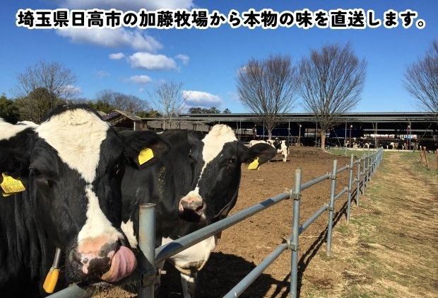 埼玉県日高市のふるさと納税 アイス 彩の国優良ブランド 加藤牧場 ノンホモ低温殺菌牛乳を使用した甘みとコク ジェラート 18個セット