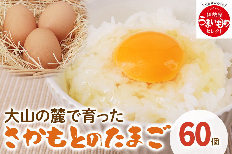 たまご 60個|坂本養鶏 大山の麓で育ったさかもとのたまご 赤玉卵 玉子 鶏卵 [0088]