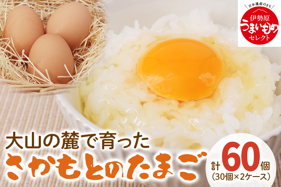 たまご 60個 (30個×2ケース)|坂本養鶏 大山の麓で育ったさかもとのたまご 赤玉卵 玉子 鶏卵 [0089]