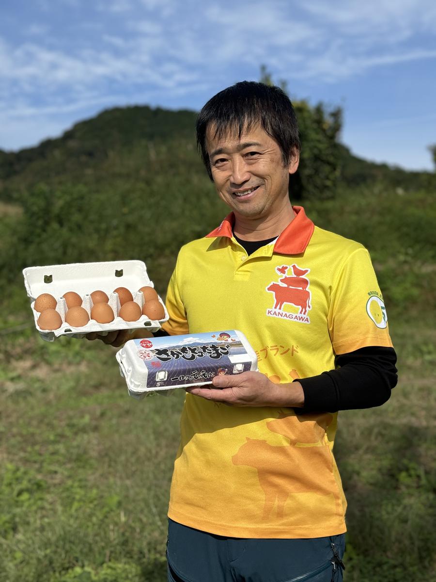 神奈川県伊勢原市のふるさと納税 たまご 60個 (30個×2ケース)｜坂本養鶏 大山の麓で育ったさかもとのたまご 赤玉卵 玉子 鶏卵 [0089]