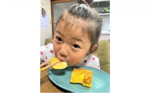 神奈川県伊勢原市のふるさと納税 たまご 80個 (20個×4ケース)｜坂本養鶏 大山の麓で育ったさかもとのたまご 赤玉卵 玉子 鶏卵 [0090]