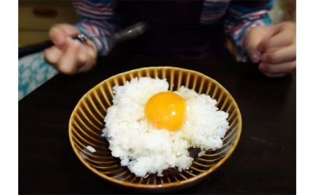 神奈川県伊勢原市のふるさと納税 たまご 80個 (20個×4ケース)｜坂本養鶏 大山の麓で育ったさかもとのたまご 赤玉卵 玉子 鶏卵 [0090]