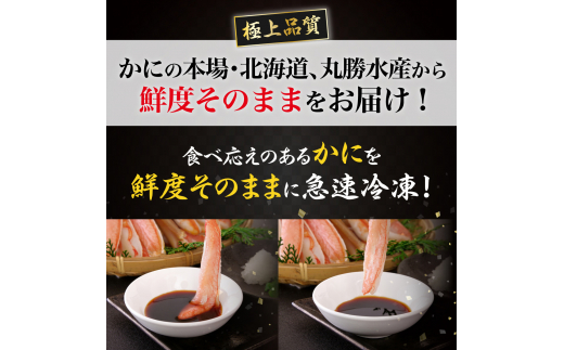 北海道登別市のふるさと納税 絶品　生ずわいがに　足むき身　500g　かにしゃぶ 年末年始 お歳暮 正月 ギフト 2025