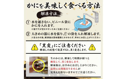 北海道登別市のふるさと納税 絶品　生ずわいがに　足むき身　500g　かにしゃぶ 年末年始 お歳暮 正月 ギフト 2025