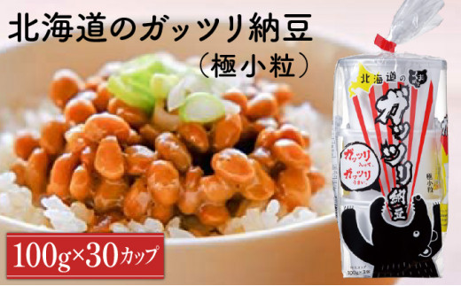 北海道のガッツリ納豆極小粒（100g×3入）10個