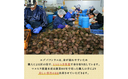 北海道登別市のふるさと納税 無添加　極上エゾバフンウニ塩水パック 200g（100g×2パック）