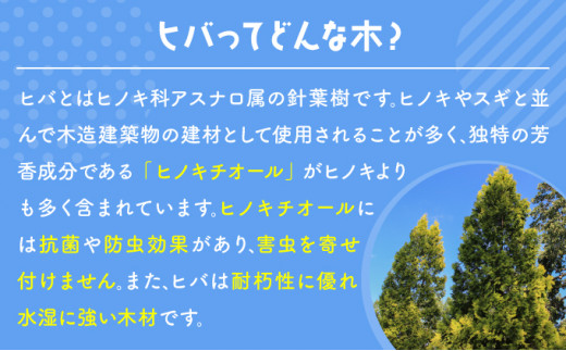 北海道ヒバのカッティングボードA（登別市市制施行50周年ロゴ）（北海道登別市） ふるさと納税サイト「ふるさとプレミアム」