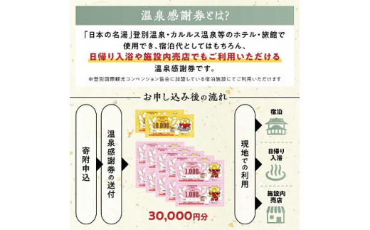 のぼりべつ温泉感謝券30，000円分 / 北海道登別市 | セゾンのふるさと納税