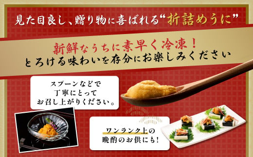 北海道登別市のふるさと納税 極上！北海道産キタムラサキウニ折詰100g ※2025年6月下旬～順次発送