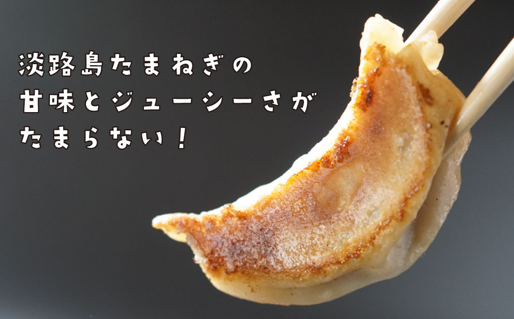 兵庫県淡路市のふるさと納税 淡路島たまねぎたっぷりジューシー餃子 100個（20ｇ×20個×5PC）　　[ギョーザ 国産 ぎょうざ おすすめ 餃子 人気 ギョーザ ぎょうざ 餃子]