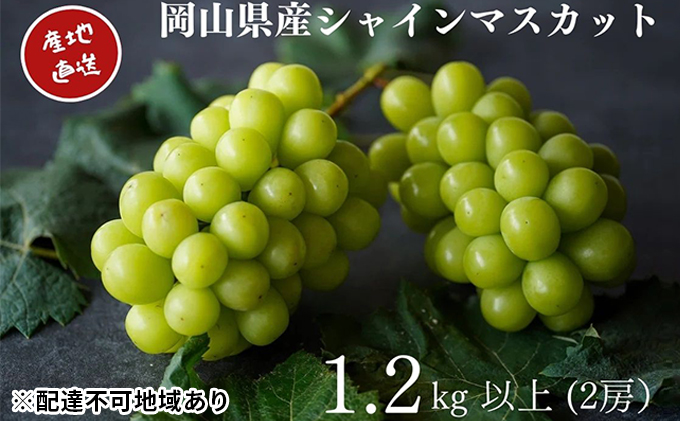 厳選 シャインマスカット 2房 合計1.2kg以上 産地直送 朝採れ ぶどう 葡萄 Kawahara Green Farm 岡山県産 2023年