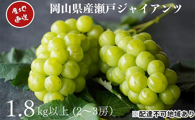 厳選 瀬戸ジャイアンツ 2～3房 合計1.8kg以上 産地直送 朝採れ ぶどう 葡萄 Kawahara Green Farm 岡山県産 2023年