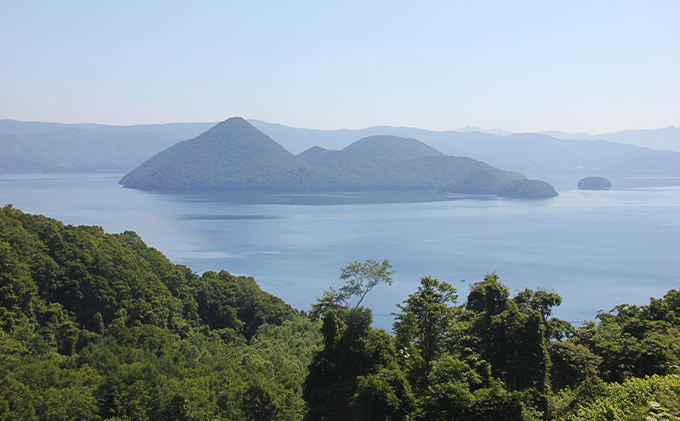 北海道洞爺湖町のふるさと納税 洞爺湖産黄金のわかさぎ 22尾×4P