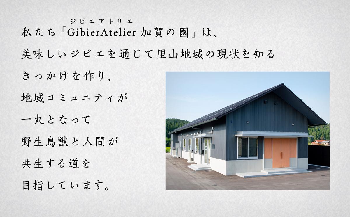 石川県小松市のふるさと納税 イノシシ肉 食べ比べセット（バラ　モモ　ウデ） 合計560g 010176