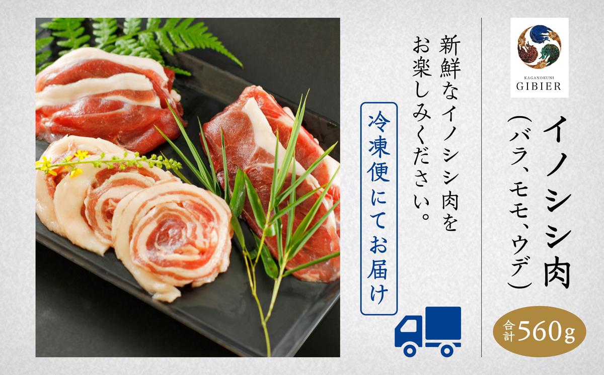 石川県小松市のふるさと納税 イノシシ肉 食べ比べセット（バラ　モモ　ウデ） 合計560g 010176