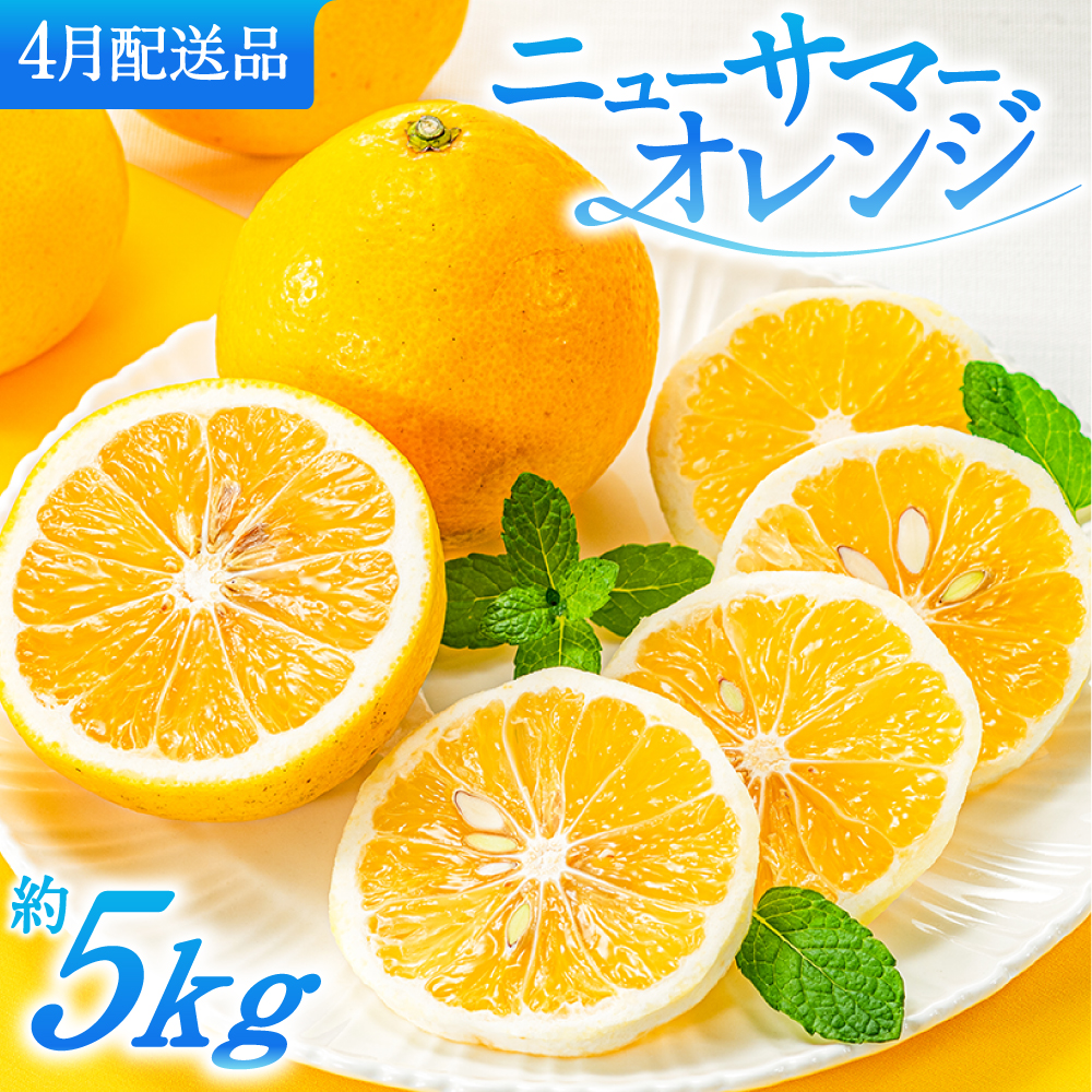 AA115.福岡柑橘王国．ニューサマーオレンジ約5キロ／2025年4月配送|