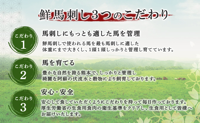 熊本県錦町のふるさと納税 馬刺し 熊本  赤身 ユッケ 霜降り 鮮馬刺し スライス 5種 バラエティーセット 食べ比べ 馬刺 馬肉 肉 お肉 冷凍