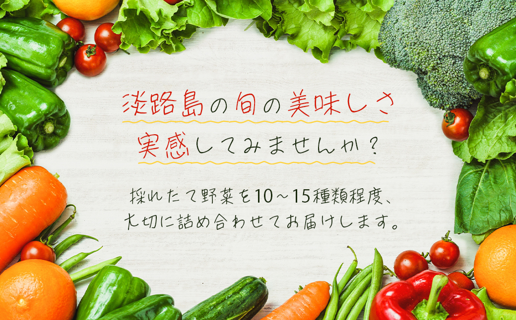 定期便】淡路島の旬の野菜セット　兵庫県淡路市　１年コース（月１回×１２回）　セゾンのふるさと納税