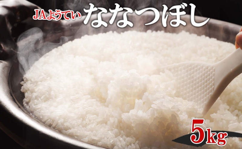 北海道産 ななつぼし 精米 5kg お米 米 特A 白米 ブランド米 ご飯