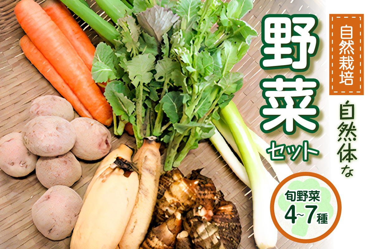[京都産]自然体な野菜セット