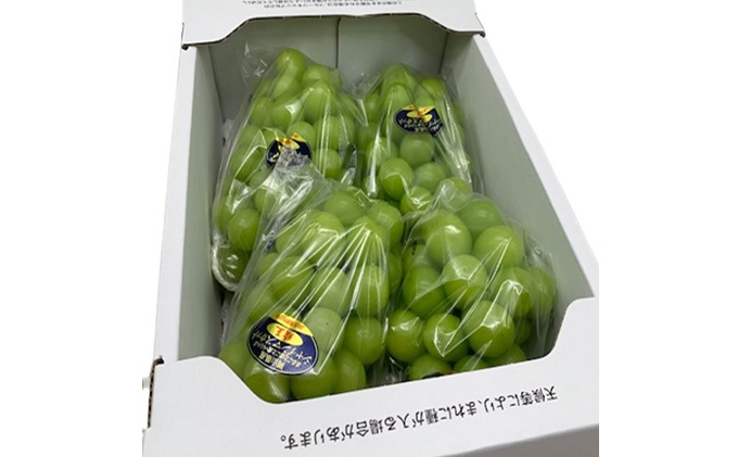 岡山県玉野市のふるさと納税 ぶどう 2025年 先行予約 シャイン マスカット 晴王 3～5房 2kg前後 （10月上旬～11月下旬発送分） ブドウ 葡萄  岡山県産 国産 フルーツ 果物 ギフト 岡山のブドウ デザート 食べ物 日本産
