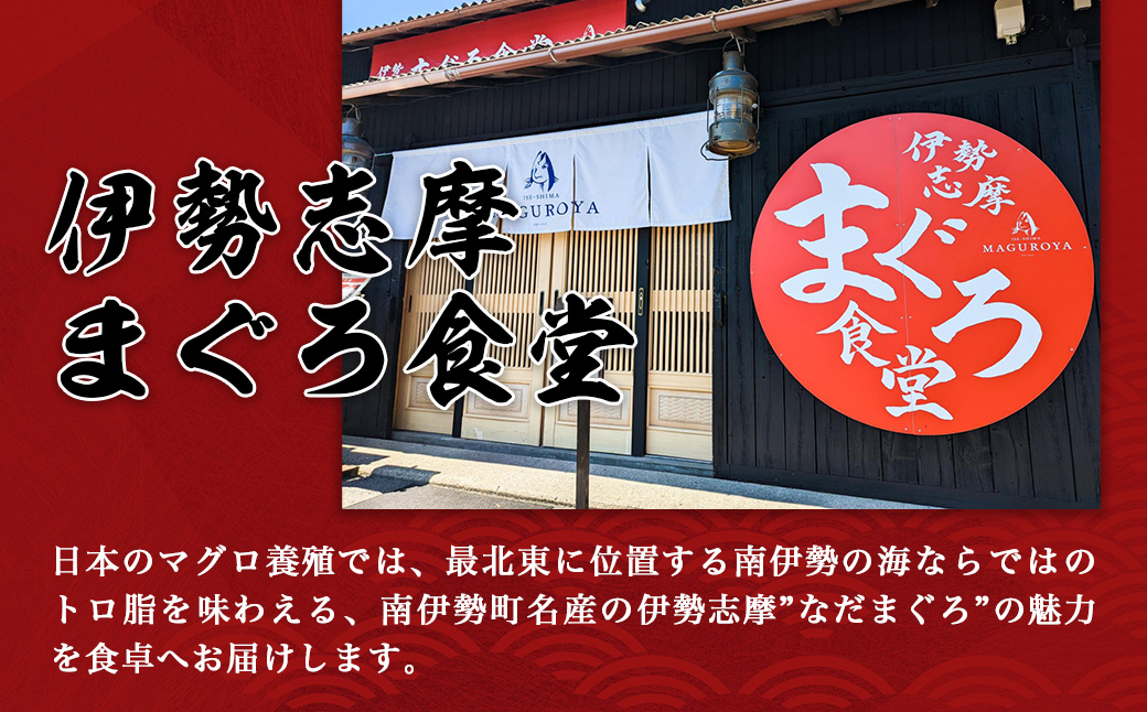 三重県南伊勢町のふるさと納税 【No.516】（冷凍） 本まぐろ 赤身 中トロ×2 詰合せ２～３人前 伊勢志摩まぐろ食堂 ／ 本鮪 専門店 お刺身専用 粗びき塩 三重県 南伊勢町