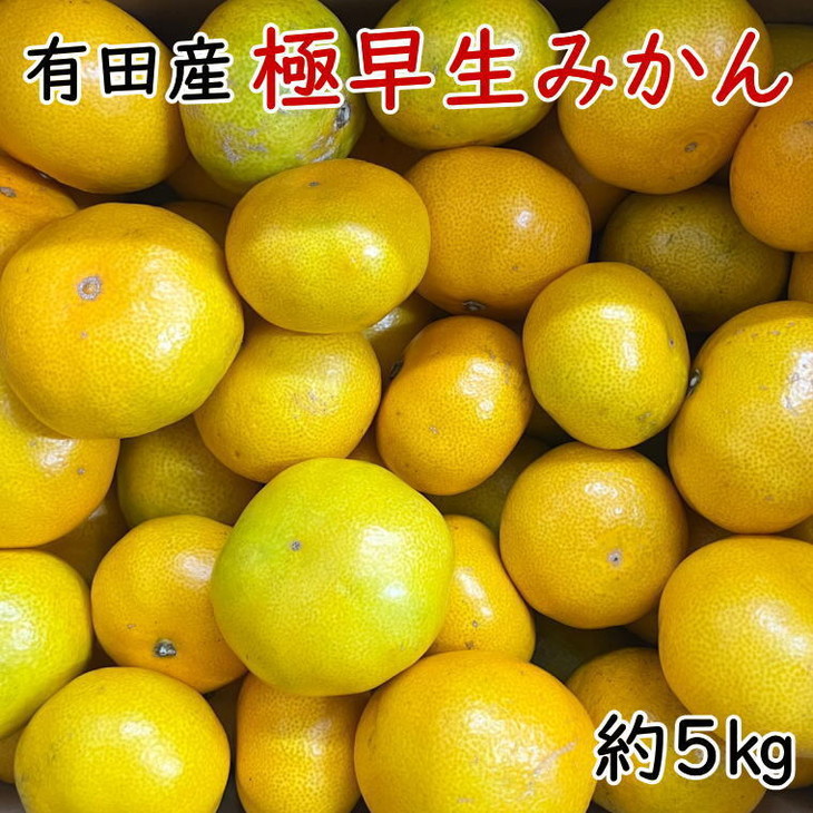 有田産極早生みかん約5kg(サイズ混合) ※2025年10月中旬~11月 有田産極早生みかん約5kg(サイズ混合) ※2025年10月中旬~11月