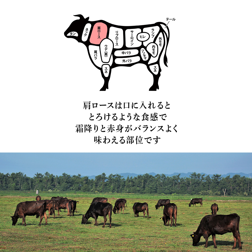 北海道 白老産 黒毛和牛 肩ロース すき焼き 500g (2・3人前)|有限会社　天野ファミリーファーム