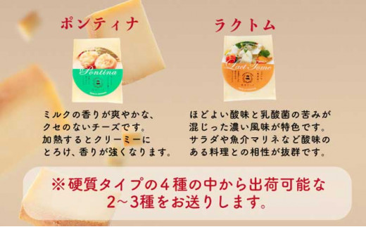 酪農館　チーズデラックスセット（北海道登別市）　ふるさと納税サイト「ふるさとプレミアム」