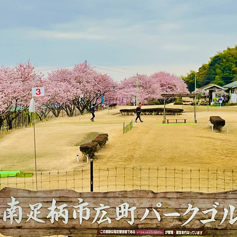 神奈川県南足柄市のふるさと納税 広町パークゴルフ場　１日利用券　２枚【 神奈川県 南足柄市 】