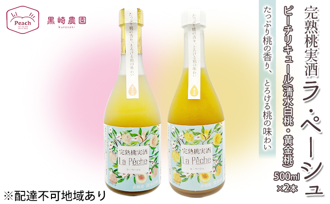 yRԔ֎sz   Ey[V   E  500ml e1{ Zbg R Ԕ֎sY ʕ t[c s[` L[ m t[ĉ ̃L[