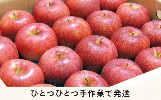 長野県飯綱町のふるさと納税 りんご サンふじ 秀 ～ 特秀 ( 大玉 ) 5kg 渡辺農園 沖縄県への配送不可 2025年12月上旬頃から2026年1月中旬頃まで順次発送予定 令和7年度収穫分 エコファーマー認定 減農薬栽培 長野県 飯綱町 [0804]