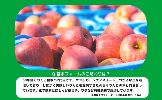 りんご サンふじ 秀 3kg 令和5年度収穫分 沖縄県への配送不可 2023年12月上旬頃から2024年1月中旬頃まで順次発送予定 宮本ファーム  エコファーマー 減農薬栽培 長野県 飯綱町 [1533]|宮本ファーム