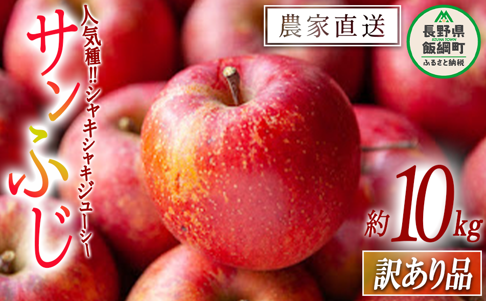 りんご サンふじ 訳あり 10kg 令和5年度収穫分 沖縄県への配送不可