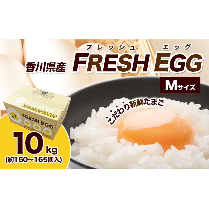 卵　ふるさと納税　愛知県小牧市　名古屋コーチン卵(30個入り)×6回（計180個）　[006K03-T]
